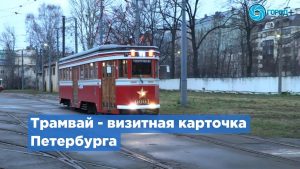 «Американка», «Слон» и «Стиляга»: история названий трамваев Петербурга