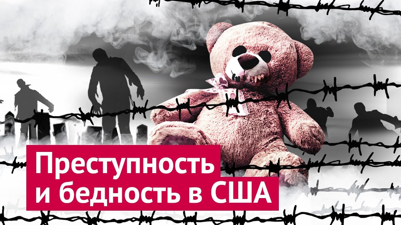 Николай Матвеев: «Пропаганда – это огромная часть журналистики!»