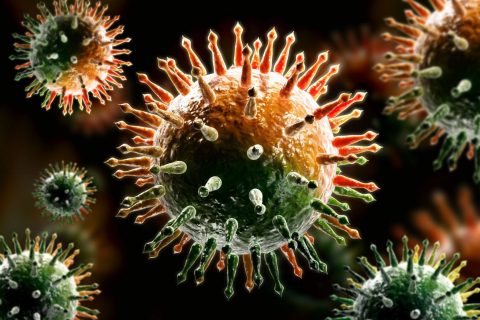 Дочь криминального авторитета рассказала о «1000 заболевших коронавирусом в Питере»
