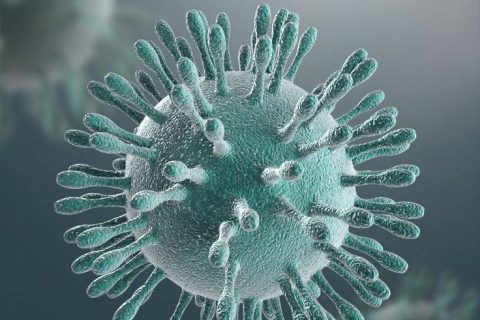 В Питере 5 новых  случаев заражения коронавирусом….