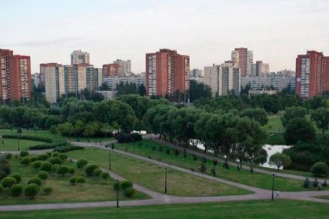 ​​Скейт-площадку в парке Малиновка ждет…