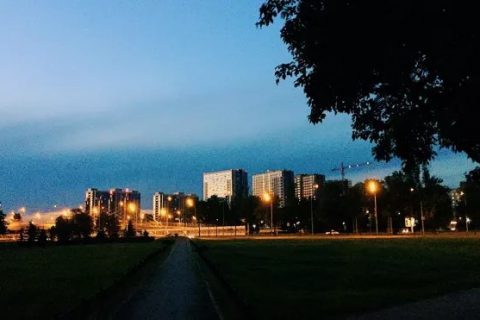 ​​В первое воскресенье июня в Петербурге синоптики…