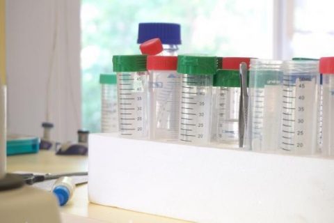 ​​В Петербурге за сутки тест на коронавирус сдали…