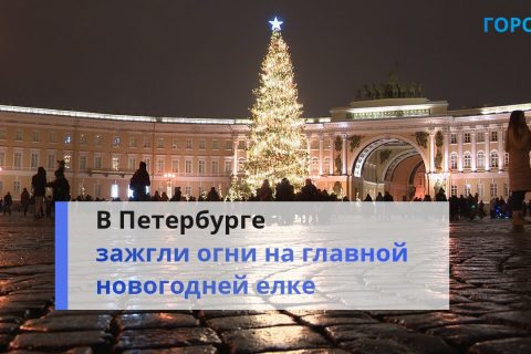 «Волшебство из сказки»: петербуржцы оценили елку на Дворцовой площади