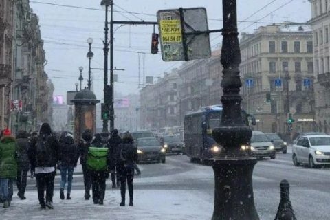 Мнение бизнеса и врачей: как повлияют новогодние ограничения на жизнь Петербурга