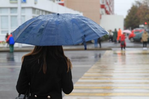 ​Новая неделя в Петербурге начнется с…