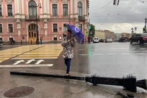 ​Петербуржцев предупредили об усилении ветра…