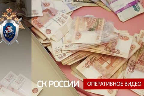 В Санкт-Петербурге возбуждено уголовное дело по факту организации преступного сообщества