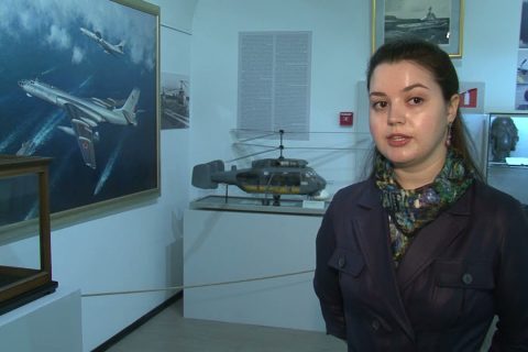 Выставка «На границе моря и небес», посвященная военно-морской авиации России