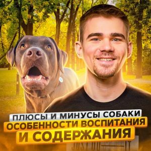 Выпуск № 16 s07 — Супер сырные штуки-дрюки